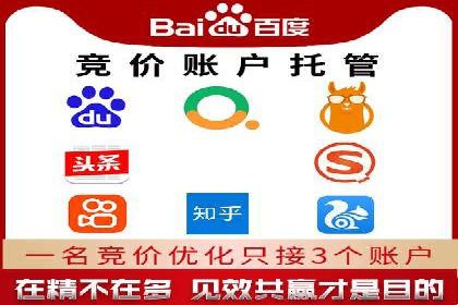案例研究：百度推广托管助力电商品牌快速崛起